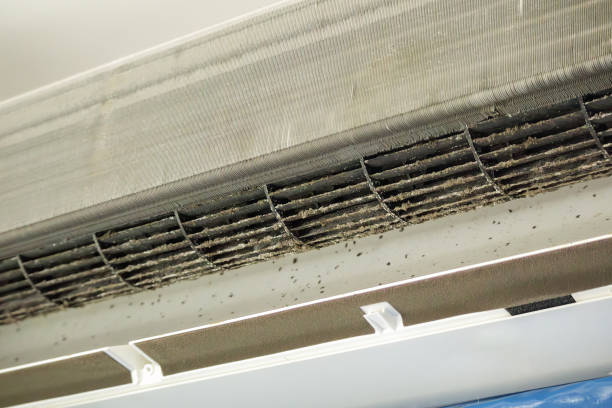 Best Residential Air Duct Cleaning  in Massanetta Springs, VA