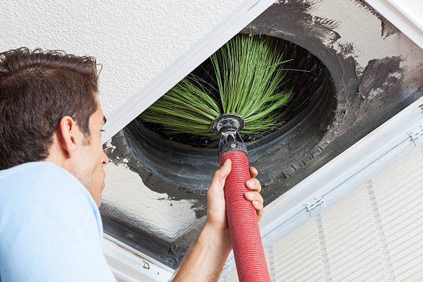 Best Local Air Duct Cleaning Services  in Massanetta Springs, VA