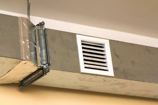 Best Air Duct Sanitizing Services  in Massanetta Springs, VA